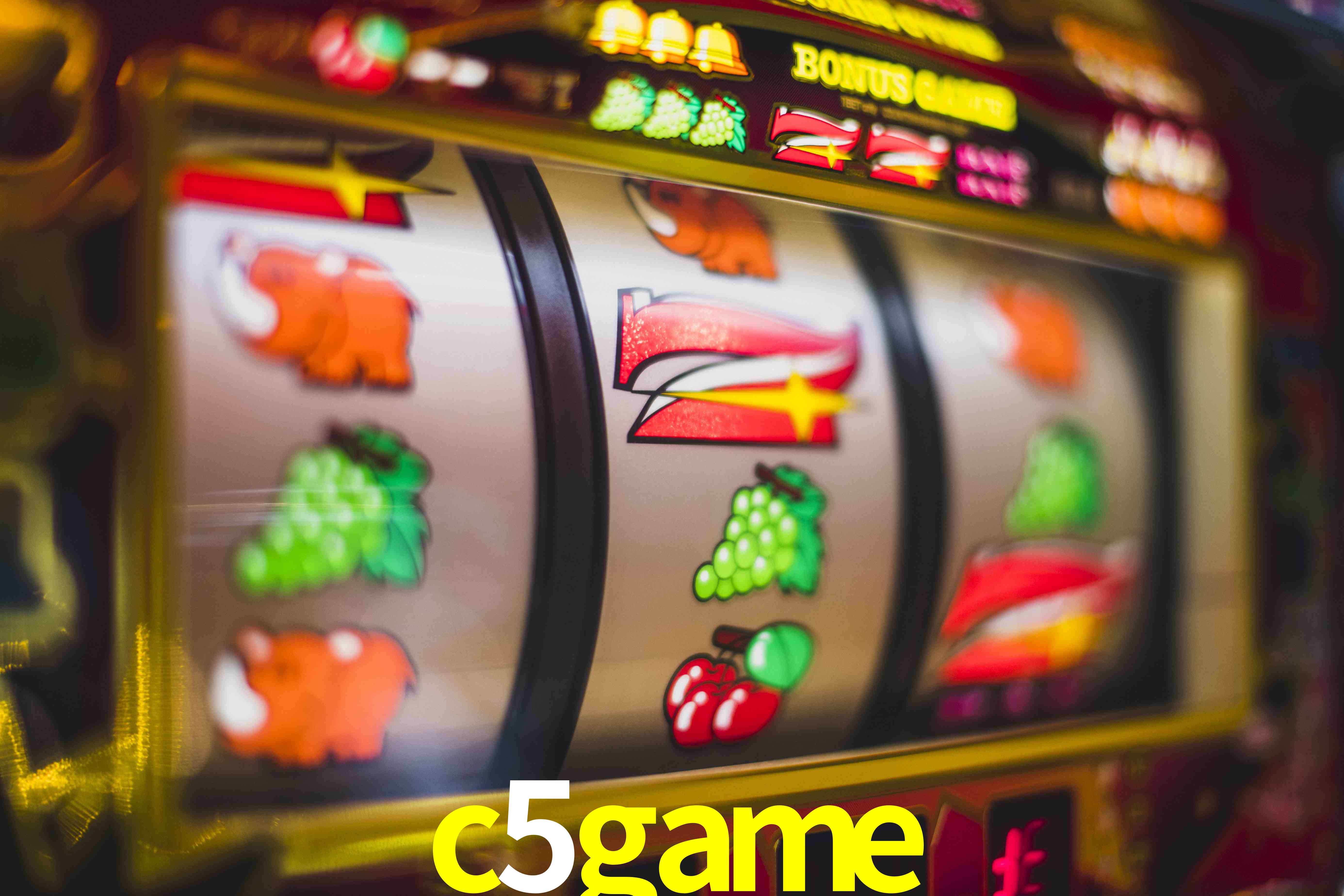 VIP Casino c5game